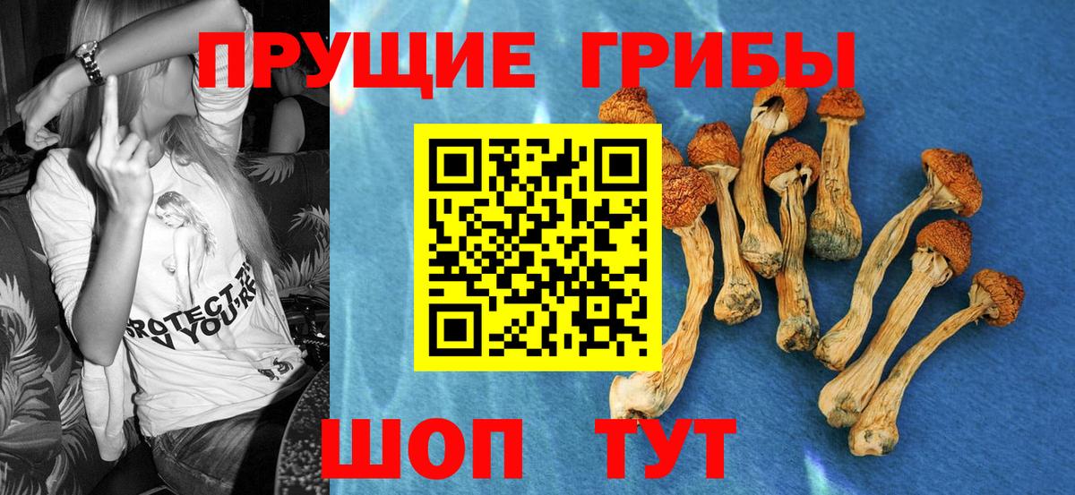Галлюциногенные грибы ЛСД Щёлково