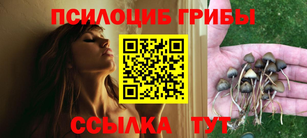 Щёлково  Псилоцибиновые грибы мицелий  цена   Вход с VPN 
